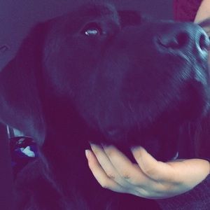 Meet your Posher, Andrea